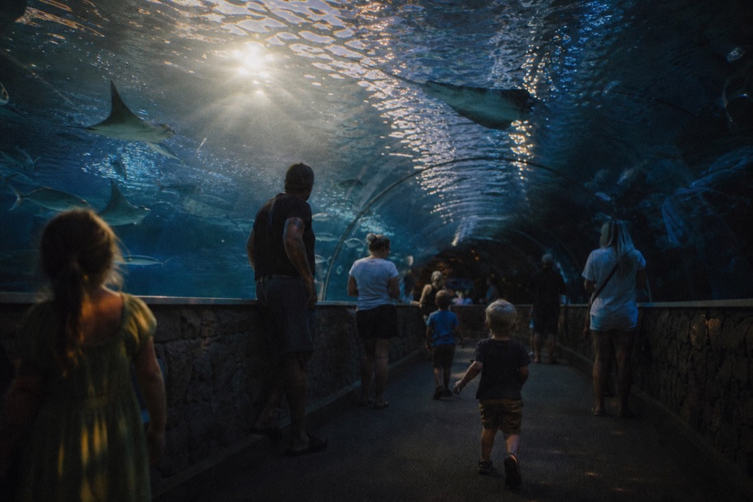 Is SEA LIFE Brighton good for families and young children? in Brighton